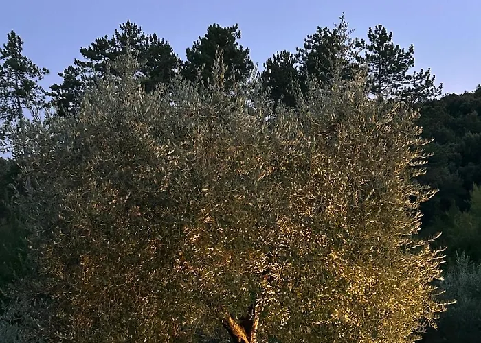 Podere Casanova - Viridis, Peace In * San Gimignano